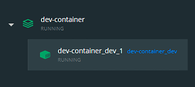 Dev Container